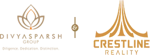Developer Logo